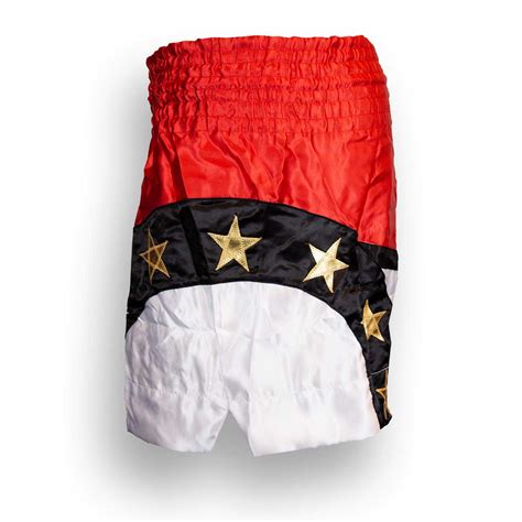 Drako First Class Thai Shorts Drako Sports Inc