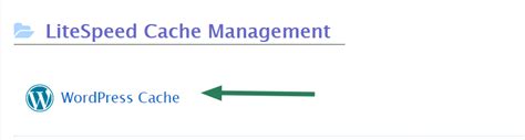 How To Work With LiteSpeed Web Cache Manager Plugin Hosting
