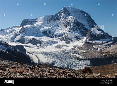 Mount Robson and the Robson Glacier from the Snowbird Pass Trail ...