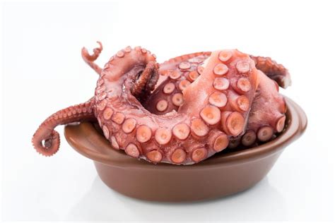 Pulpo Cocido