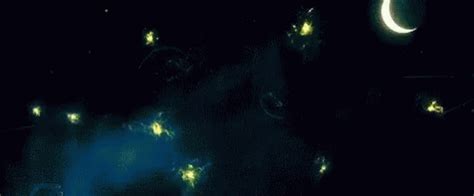 Starry Night GIF - Starry Night - Discover & Share GIFs