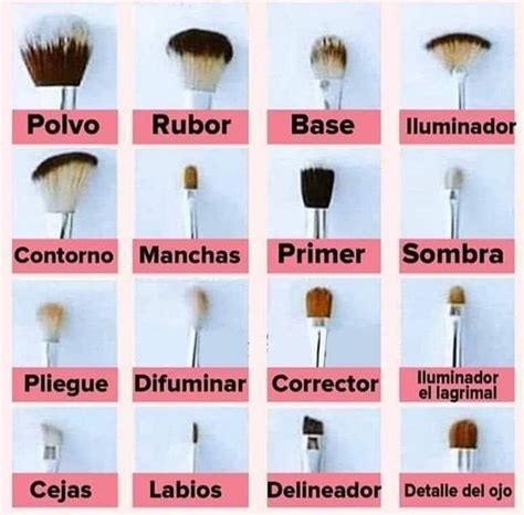 Tipos De Pinceles De Maquillaje Y Como Usar Make Up Beauty Maca