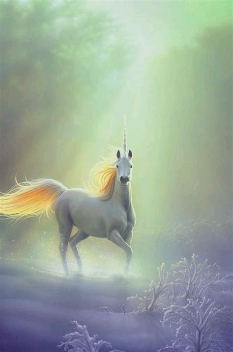 Pin By Tammy Mckinney On Unicorns Unicorn Pictures Mythical