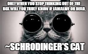 Schrödingers Cat Meme - Captions Hunter