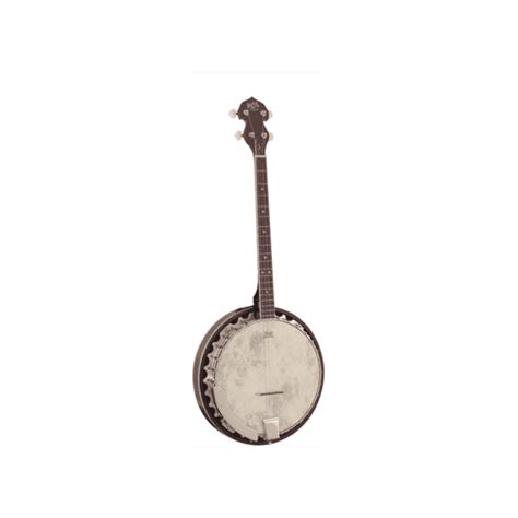 Barnes Mullins Banjo Empress Tenor F S V Ltd