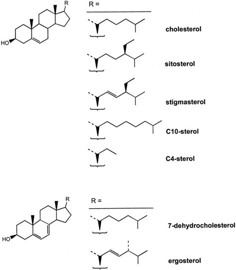 Effect Of The Structure Of Natural Sterols And Sphingolipids On The