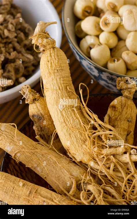 Korean Dried Ginseng Stock Photo Alamy