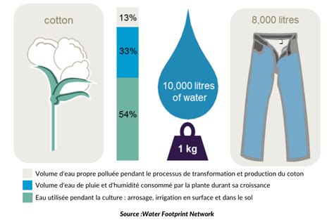 Le Coton Pas Si Doux Pour Lenvironnement