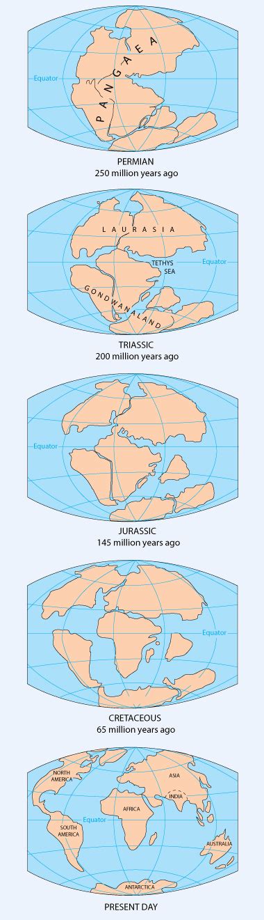 Pangaea Drifted For A Good Reason • Eve Out Of The Garden Continental Drift Continent Map