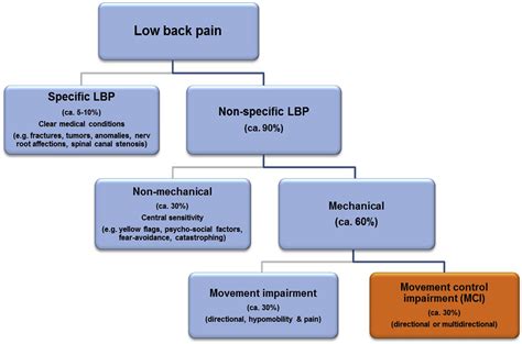 The Effect Of Motor Control And Tactile Acuity Training On Patients