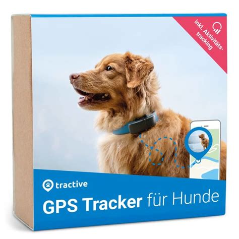 Gps Sender F R Hunde Gps Tracker Zur Hundeortung Im Test