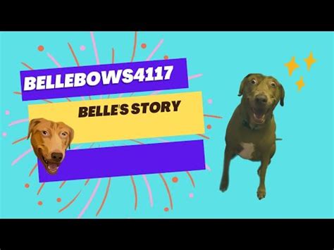 Bellebows Belles Story Youtube