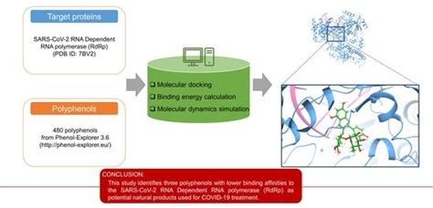 Molecules Free Full Text Polyphenols As Potential Inhibitors Of