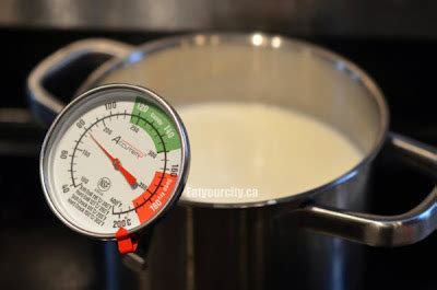 Eat Your City: Making homemade ricotta - cheesemaking may not be so ...