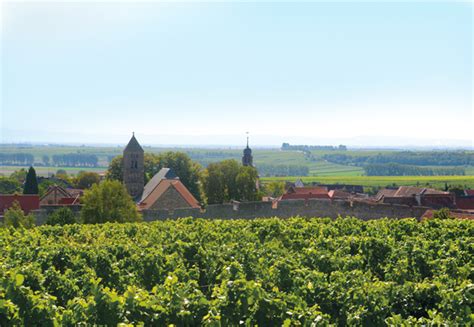 Martin Lehnen Architekt Umbau Weingut Keller