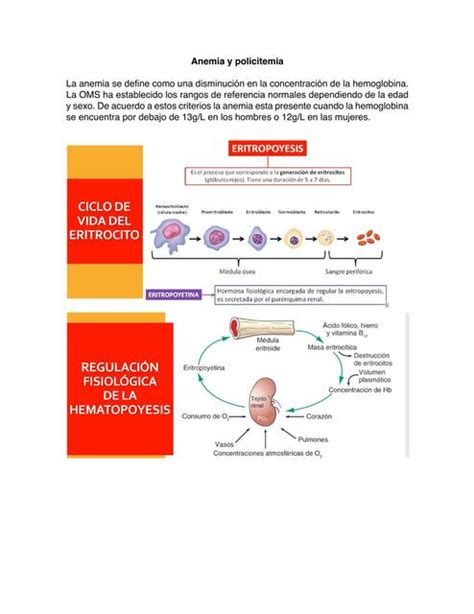 Anemia Y Policitemia Medstdnlife UDocz