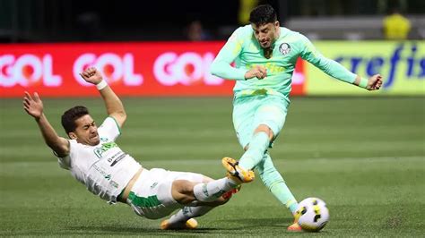 Palmeiras X Juventude Saiba Onde Assistir Ao Jogo Da Rodada Do