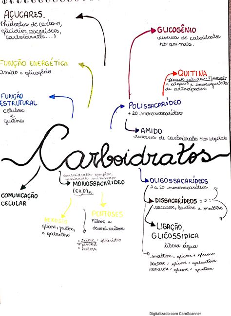 Mapa mental Carboidratos Baixe grátis em PDF