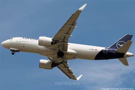 Lufthansa Airbus A N D Ainu Photo Netairspace