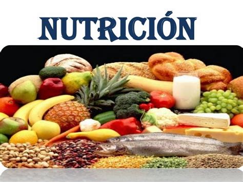 Que Es La Nutricion