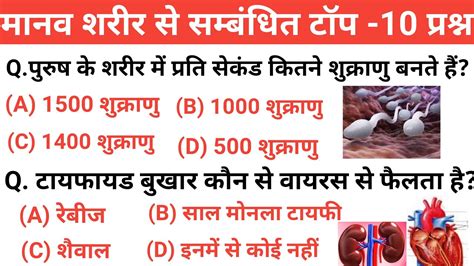 मानव शरीर से संबंधित महत्वपूर्ण टॉप 10 प्रश्न। Human Body Related Top 10 Question For All Exam