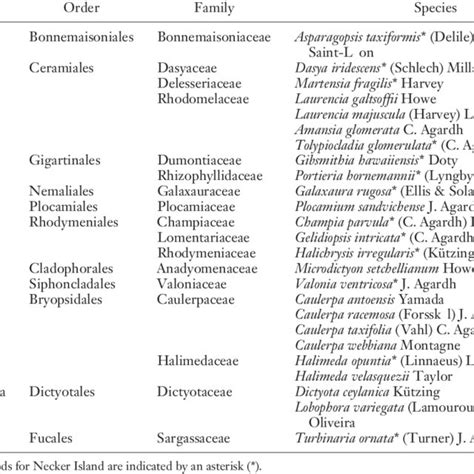 Macroalgal Species Identified From Rea Surveys Download Table