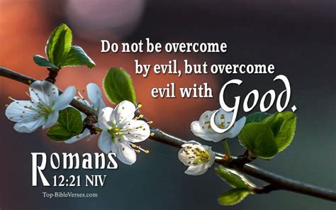 Romans 1221 Niv Inspirational Bible Verse Images Bible Quotes