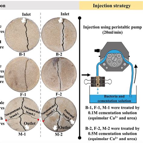 Schematic Diagram Of Micp Healing Experiment On Nature Weathering Like