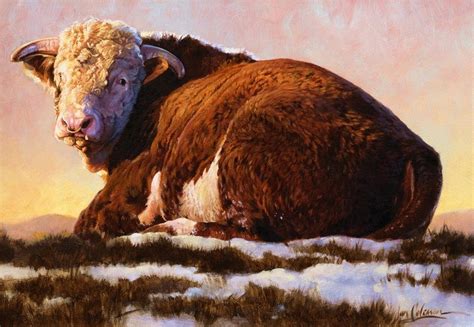 "Hereford Bull" by Ian Coleman