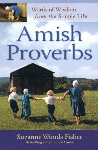 amish books  read ideas amish books amish fiction books  read