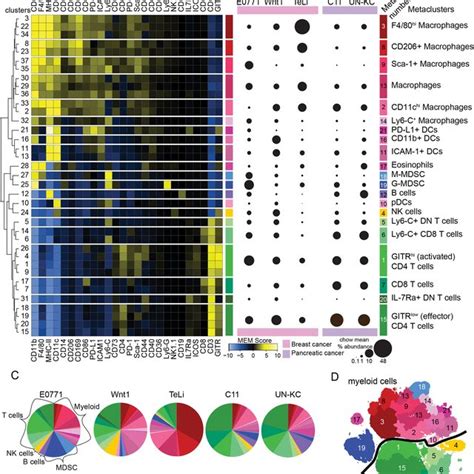 Immune Infiltrate Metacluster Characterization Of Murine Breast And