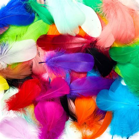 Buy 600pcs Colorful Feathers 20 Colors Craft Feathers 3 5 Inches