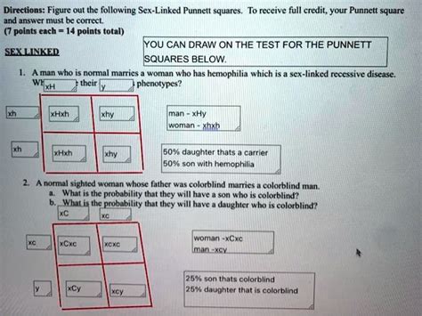 Solved Text Directions Figure Out The Following Sex Linked Punnett