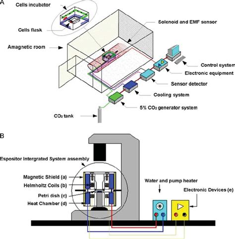 Extremely Low Frequency Electromagnetic Field Exposure Systems A