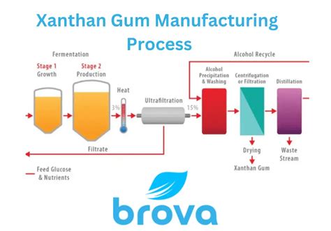 Xanthan Gum Manufacturing Process Step By Step Complete Guide