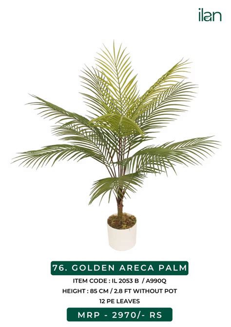 Indoor Plant Artificial Plants Golden Areca Palm For Decoration Size