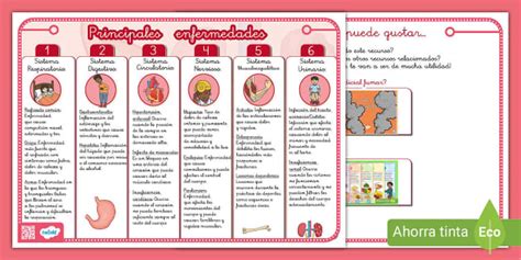 Infografía: Principales enfermedades (teacher made)