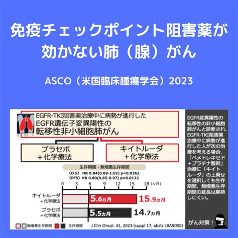 免疫チェックポイント阻害薬が効かない肺がん がんゲノム医療・免疫治療 銀座みやこクリニック院長ブログ