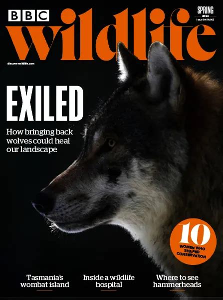 Bbc Wildlife Magazine Spring 2024