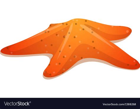 Icon Starfish Royalty Free Vector Image Vectorstock