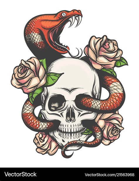 Skull With Snake And Roses Royalty Free Vector Image