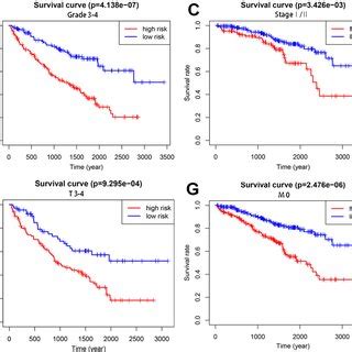 Gene Set Enrichment Analysis Between High And Low Risk Groups Based On