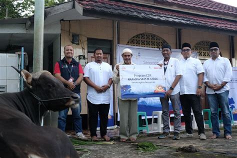 Telkomsel Salurkan Hewan Kurban Ke Lima Lokasi Di Papua ANTARA News