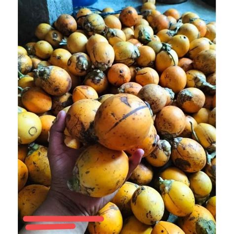 Jual BUAH PINANG TUA KUNING Jambe Wangi 1 KG Shopee Indonesia