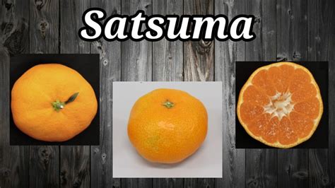 Mandarina SATSUMA YouTube