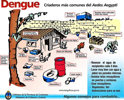 Dónde se cría el Aedes aegypti Notinor Jujuy