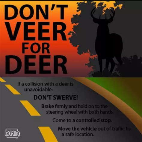 Motorists Warned About Sex Crazed Deer On The Rampage Across Ireland Amid Fears People Could Be