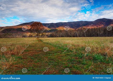 Cades Cove Autumn colors stock image. Image of road, national - 19631433