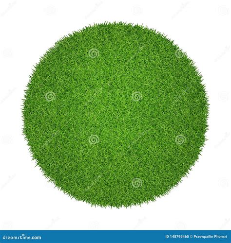 A Circle Of Green Grass In A Paving Stone Stock Photography