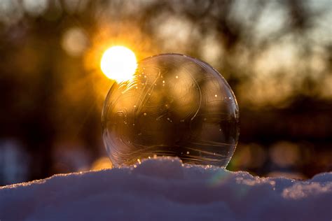 Images Gratuites Paysage Eau La Nature Branche Neige Du Froid